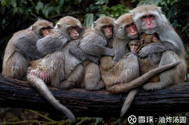 开云体育官网-今夜夏洛特黄蜂复出首秀:西甲节点到来,气氛紧张,高层口径保持一致(步行者大胜雷霆将总决赛拖入抢七)